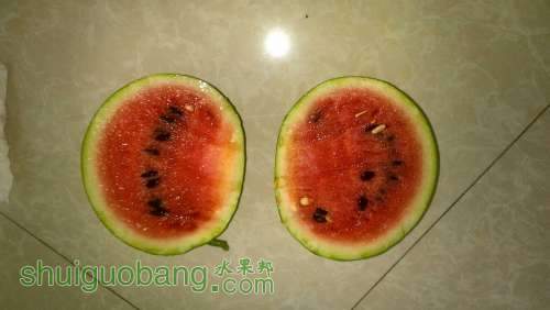 IMG_20130901_172634.jpg