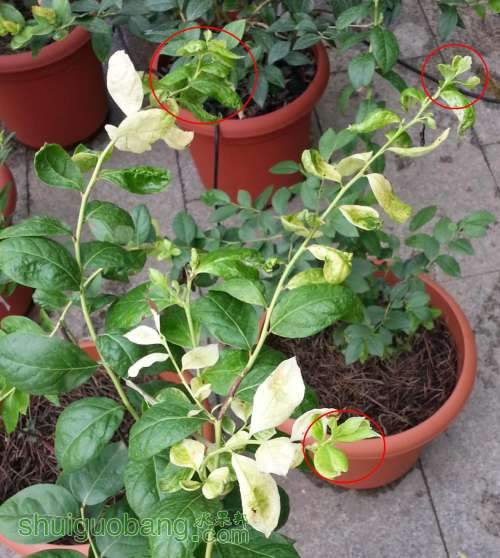 20130830_08_.jpg