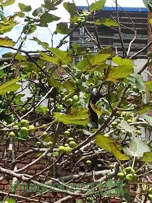 20130803_112657.jpg