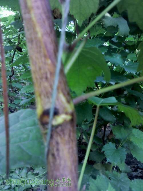 YP20130905153927 (�Զ���).jpg