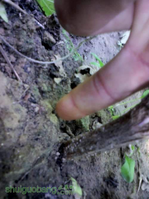 YP20130905154044 (�Զ���).jpg