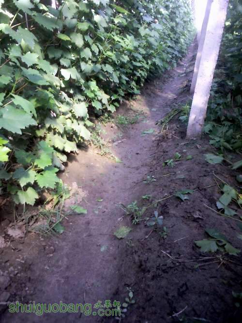 YP20130905154100 (�Զ���).jpg
