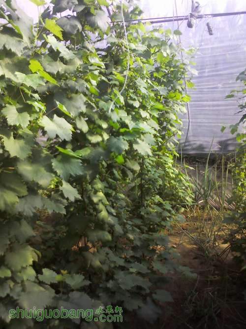 YP20130905154214 (�Զ���).jpg