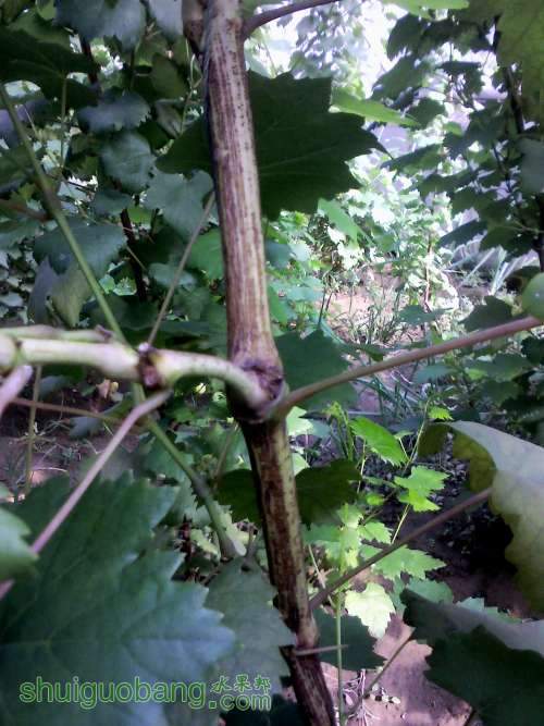 YP20130905154413 (�Զ���).jpg