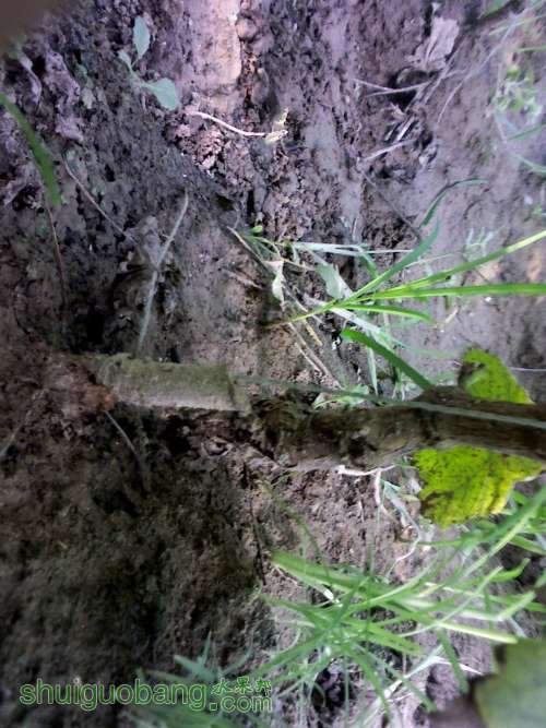 YP20130905154612 (�Զ���).jpg