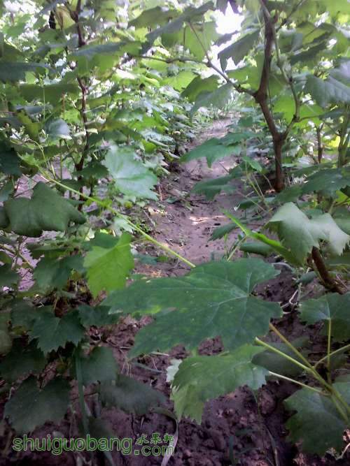 YP20130905154737 (�Զ���).jpg