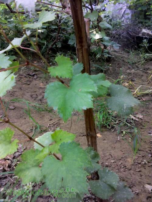 YP20130905153410 (�Զ���).jpg