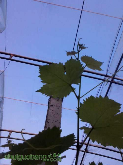 YP20130905181033 (�Զ���).jpg