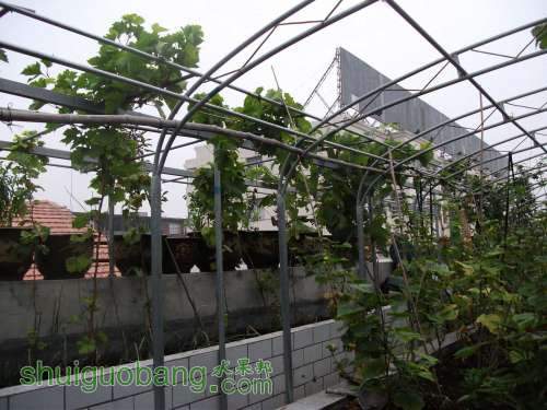 Ƭ 032.jpg