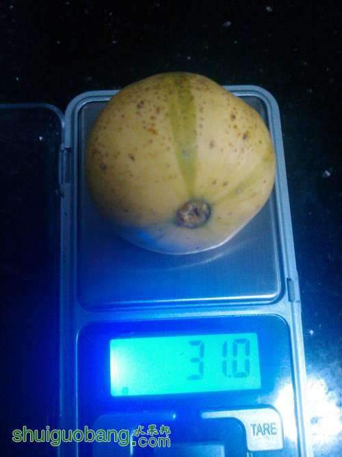 ���.jpg