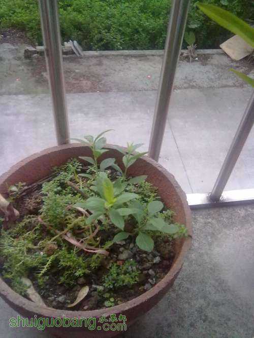 201309071745.jpg