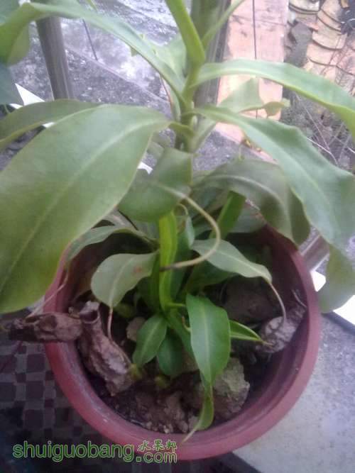 201309071746.jpg