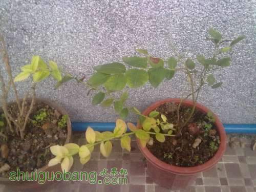 201309071747.jpg