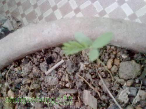201309071748.jpg