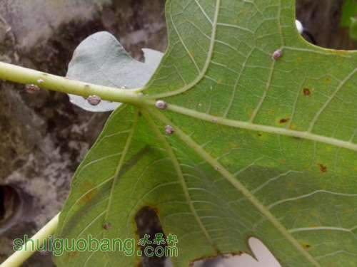 IMG_20130908_143620.jpg