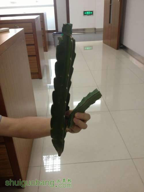 QQͼƬ20130909083548.jpg