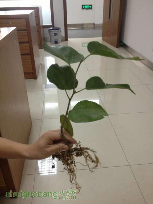 QQͼƬ20130909083555.jpg