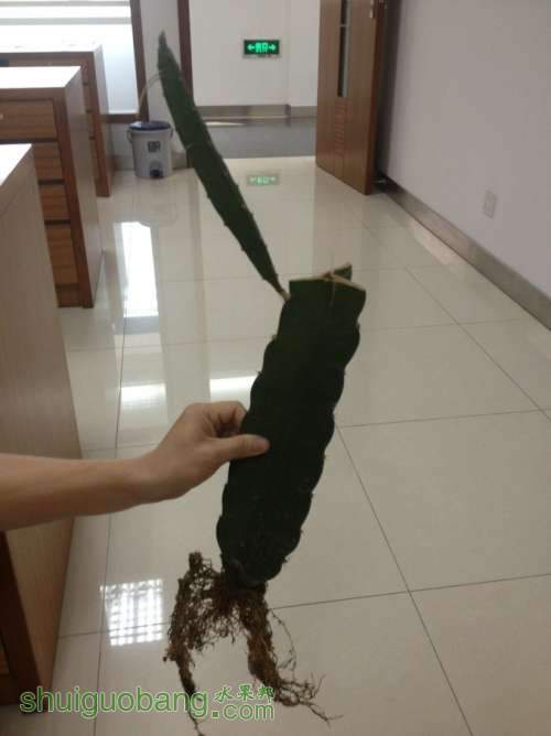 QQͼƬ20130909083601.jpg