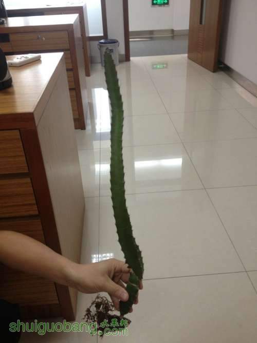 QQͼƬ20130909083610.jpg