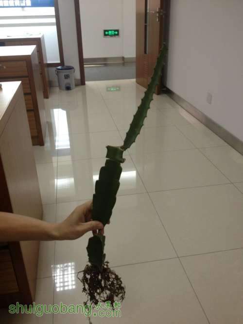 QQͼƬ20130909083614.jpg
