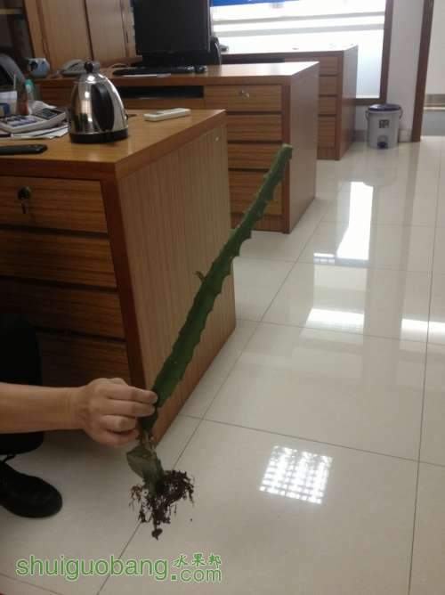 QQͼƬ20130909083618.jpg