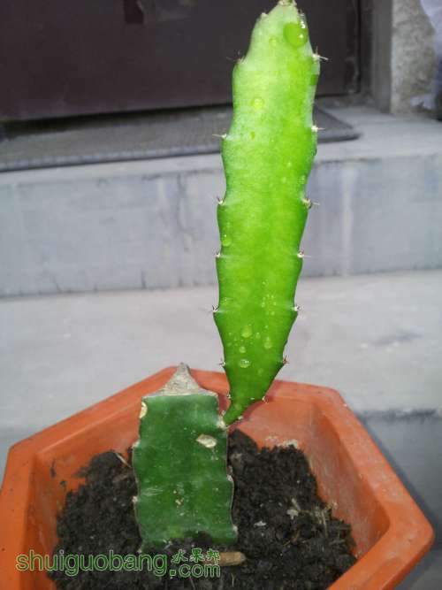 20130909_105954.jpg