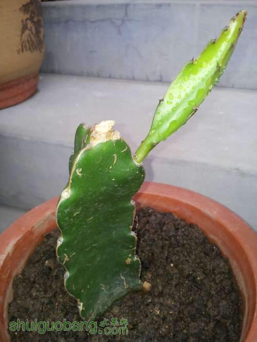 20130909_105946.jpg