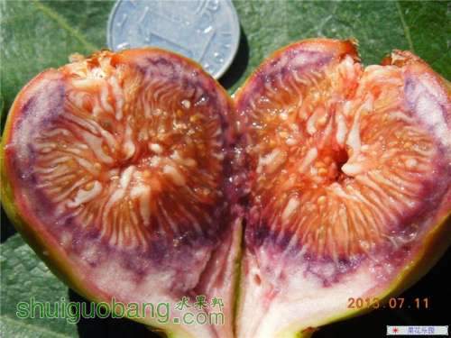 54_9_174bfecfc51db48.jpg
