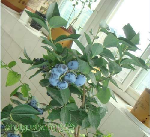 QQͼƬ20130913221731.jpg