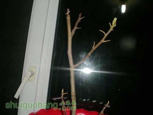 DSCN1830.JPG