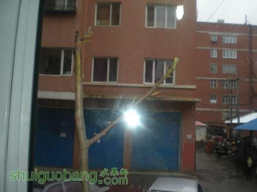 DSCN1837.JPG