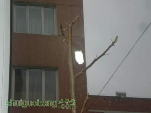 DSCN1839.JPG
