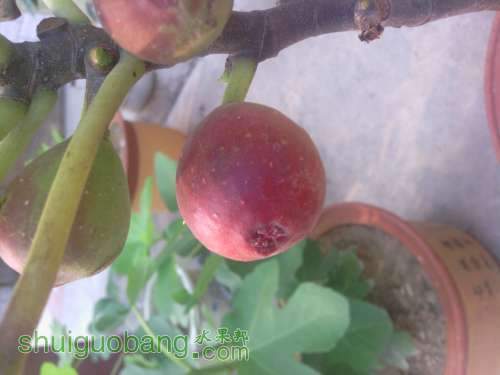 IMG_20130915_161028.jpg