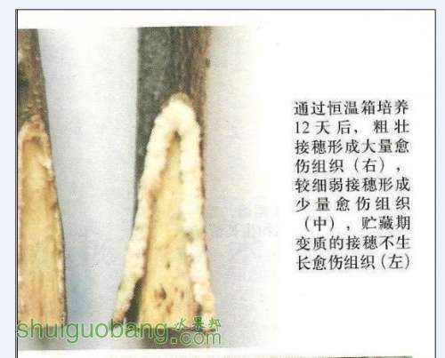 QQͼƬ20130916074330.jpg