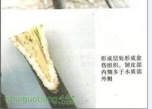 QQͼƬ20130916074345.jpg