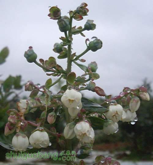 20130916105256.jpg