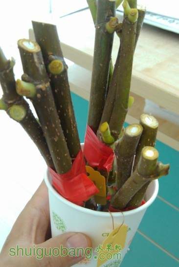 QQͼƬ20130916110206.jpg