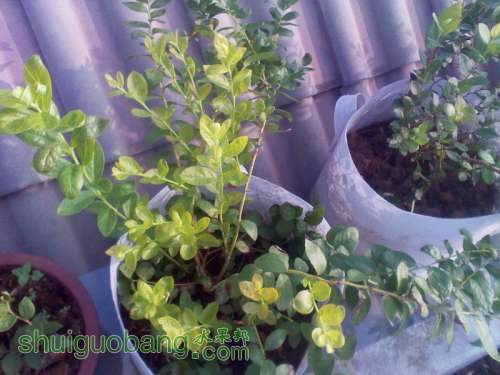 IMG_20130916_073451.jpg
