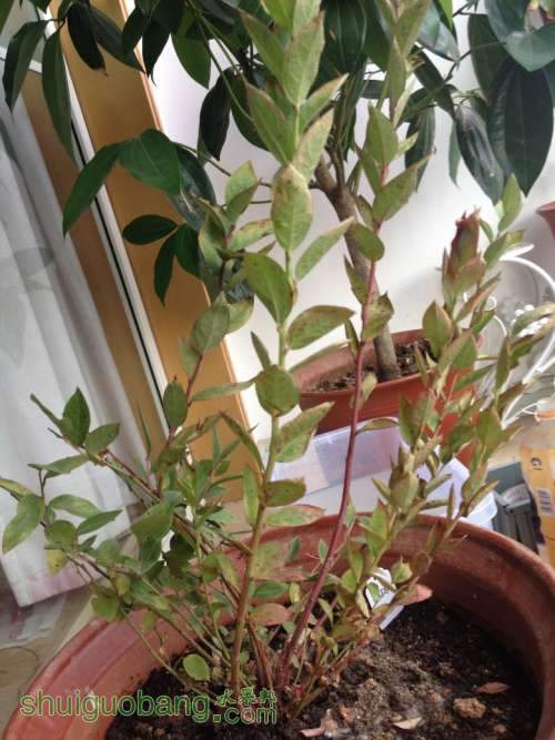 ��ݮ��Ƭ 035_conew1.jpg