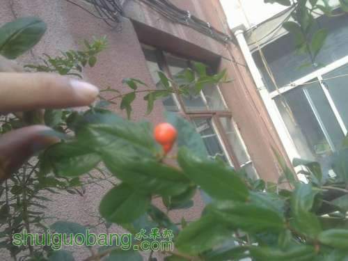 20130917661.JPG