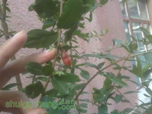 20130917660.JPG