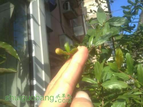 20130917671.JPG