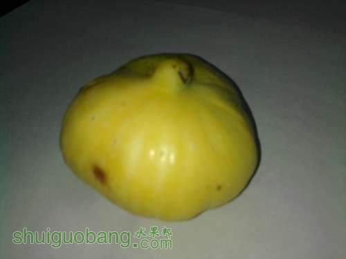 ��Ƭ-0154_����.jpg