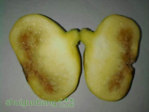 ��Ƭ-0162_����.jpg
