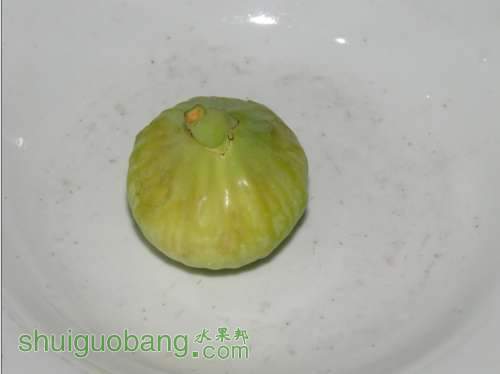 QQ��ͼ20130918200229.jpg