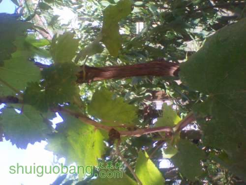 2013-09-20 10.46.46.jpg