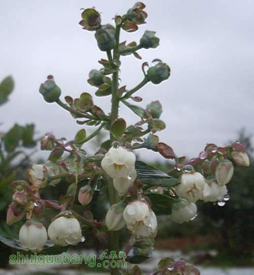20130922101103.jpg