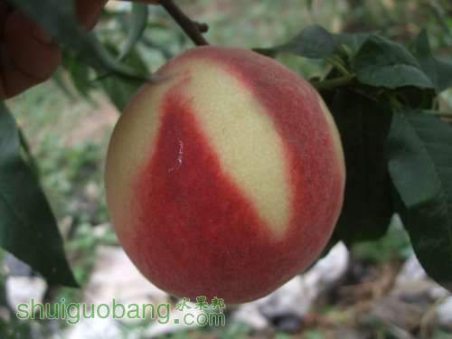 2013922ԵۼƬ 005.jpg