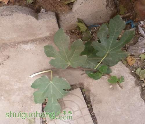 QQͼƬ20130922182639.jpg