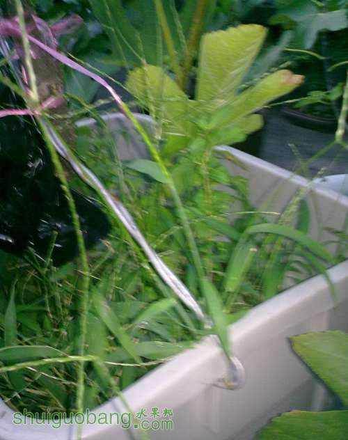 2013.6.27 001.jpg